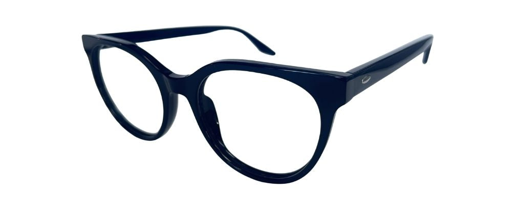 ECO1107