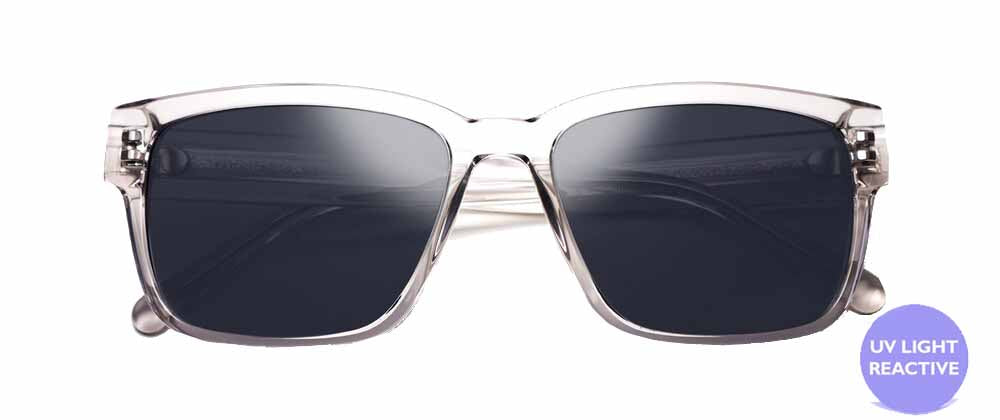 Windsor Sunglasses